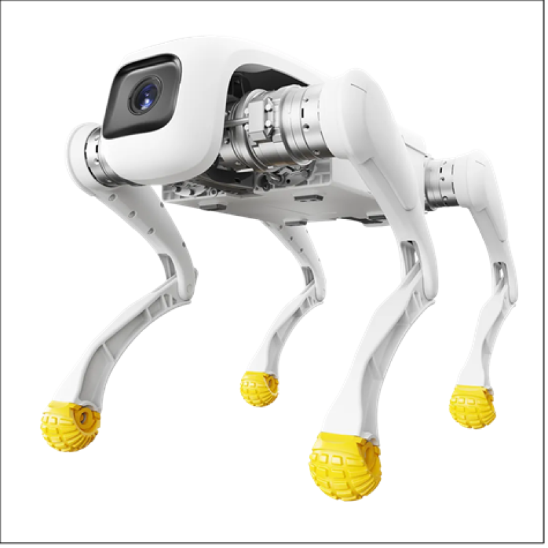 AGIBOT - D1 - EDU