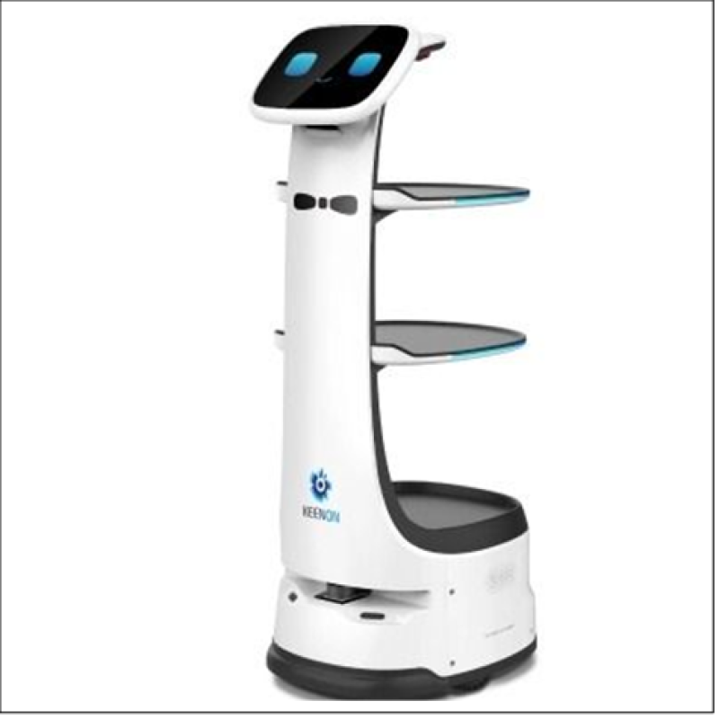 KEENON - DINERBOT T8